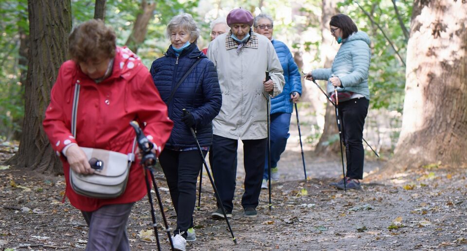 elderly, forest, trekking, women, senior, people, walking sticks, walking, adventure, recreation, path, outdoors, fall, autumn, woods, elderly, elderly, elderly, elderly, elderly, senior, senior, senior, nature, senior, senior