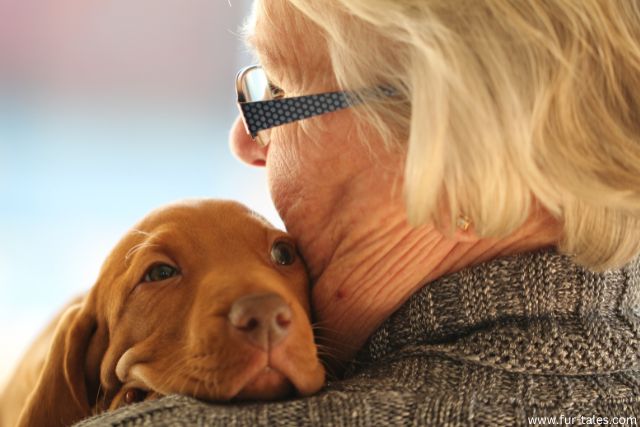 The Benefits of Owning a Pet for Seniors