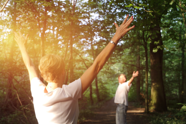 How Forest Bathing Can Improve Senior Health