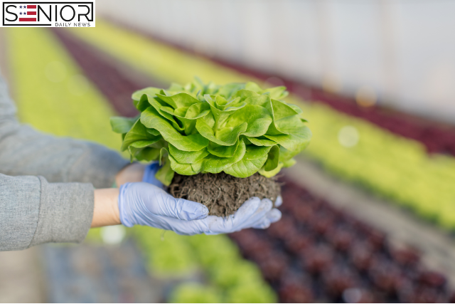 The Future of Food: Sustainable Farming, Food Waste, and What’s on Your Plate
