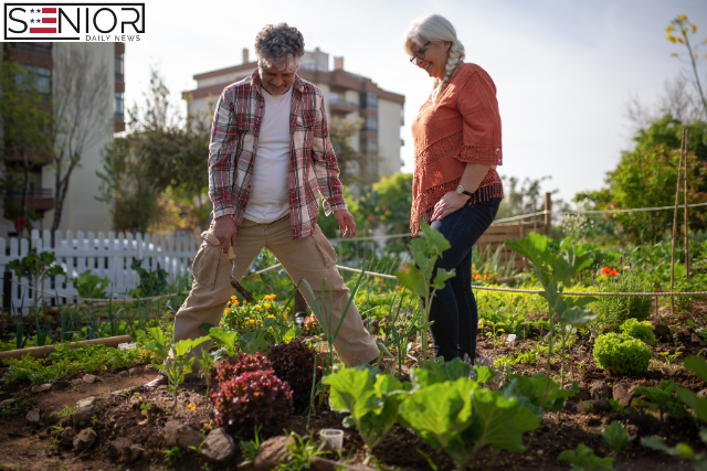 The Intersection of Aging and Environmental Sustainability