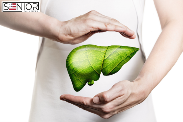 Liver Health: Keeping Your Liver Healthy as You Age